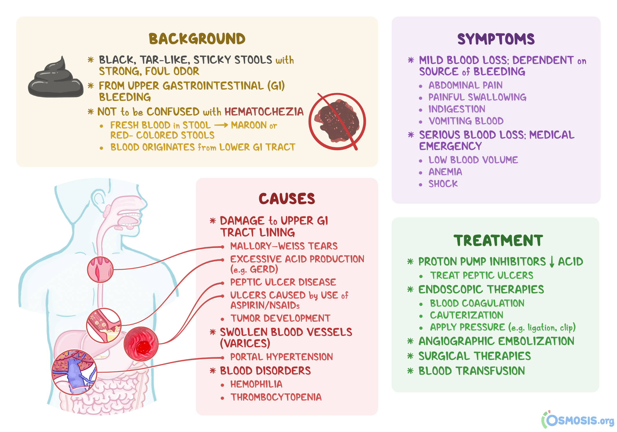 blood-in-the-stool-causes-symptoms-diagnosis-and-treatment