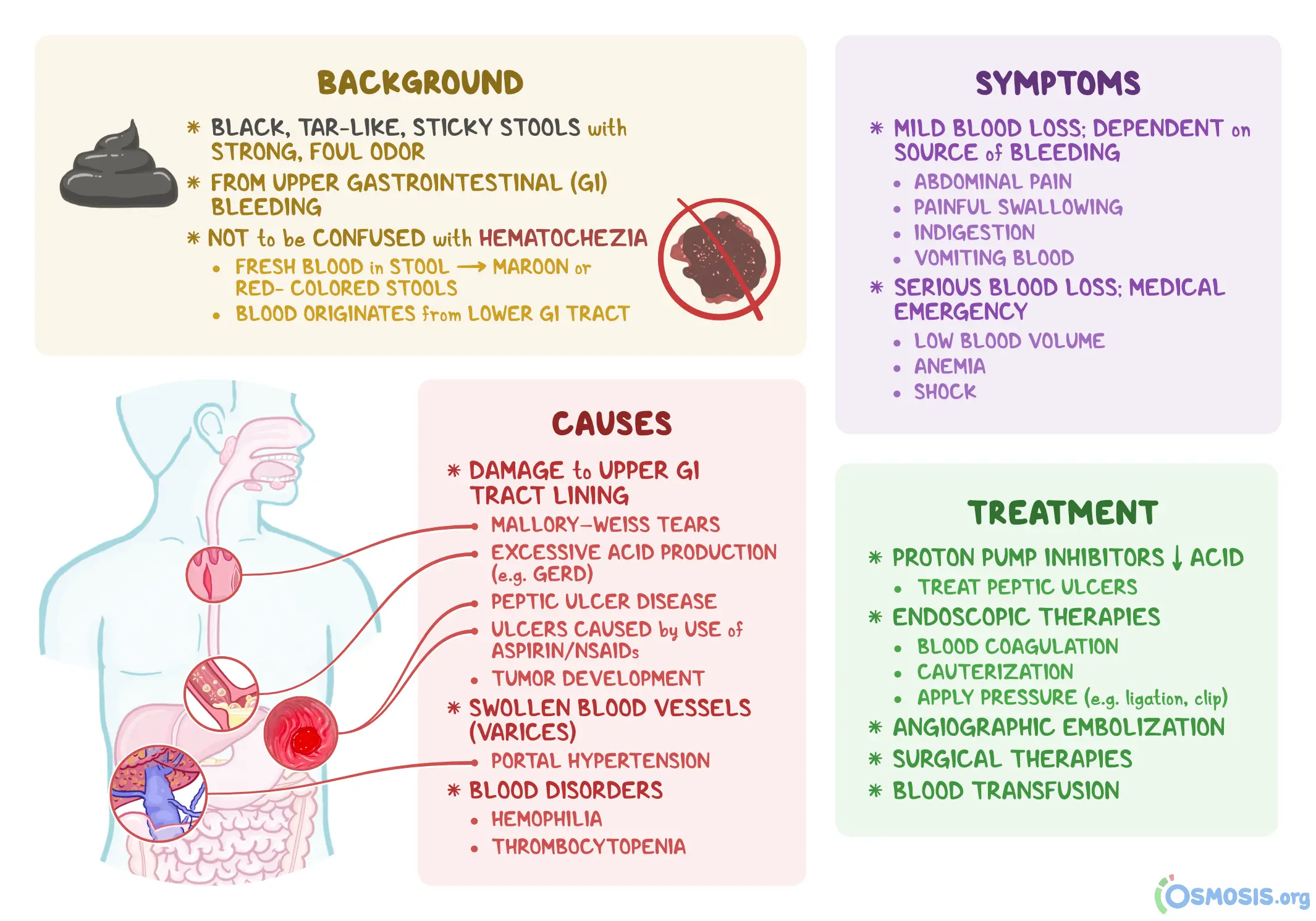 Blood in the stool &#8211; causes, symptoms, diagnosis and treatment [EXPLAINED]