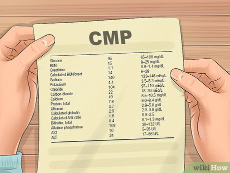 Blood tests &#8211; how to read their results