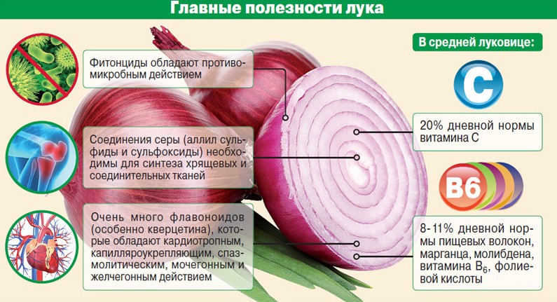 Blue onions, purple and other sweet varieties: description, benefits and harms, application, cultivation features