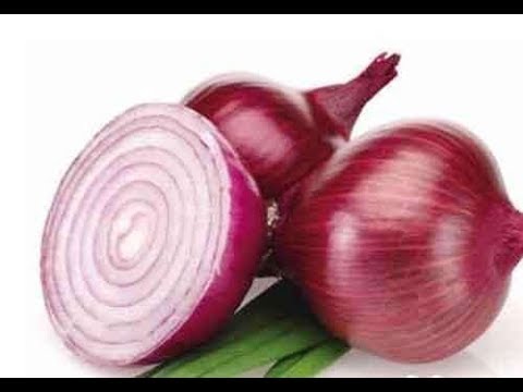 Blue onions, purple and other sweet varieties: description, benefits and harms, application, cultivation features