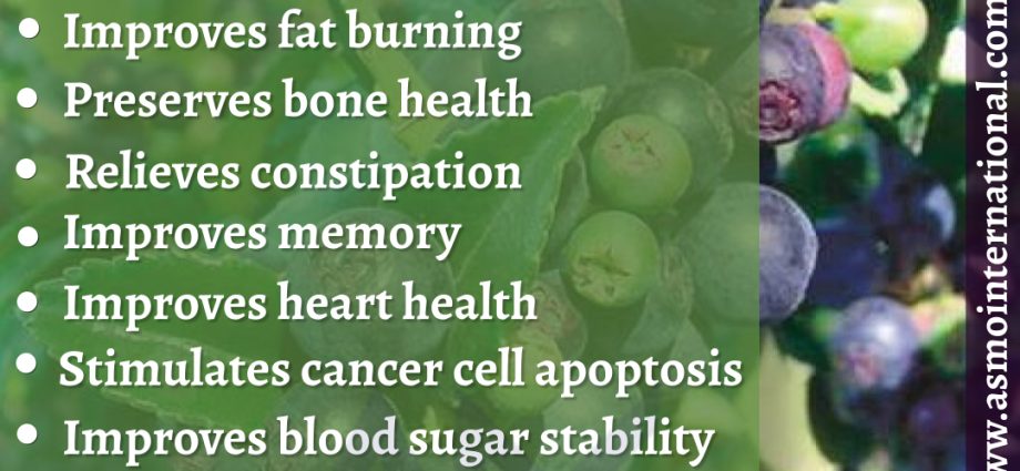 Blueberries against obesity, cancer and cardiovascular diseases