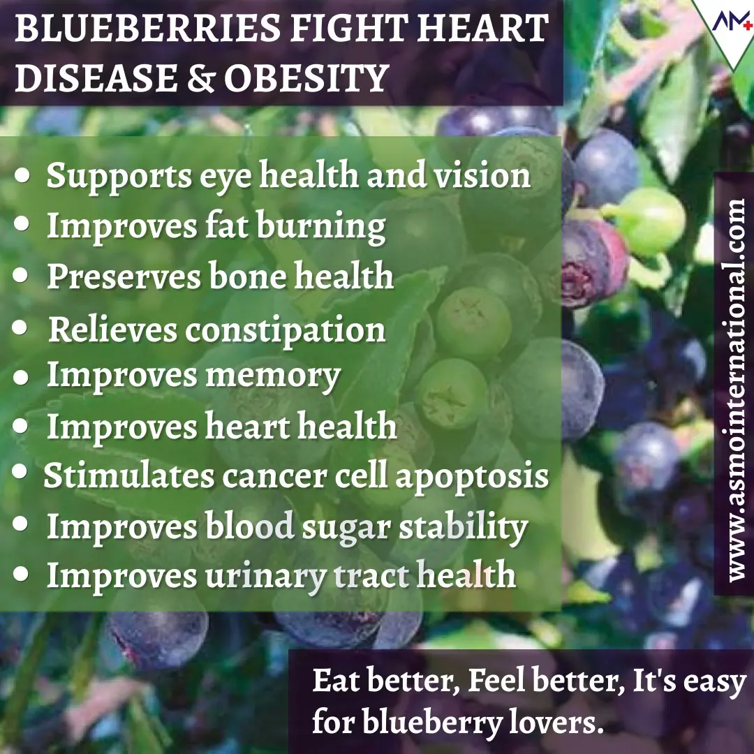 Blueberries against obesity, cancer and cardiovascular diseases