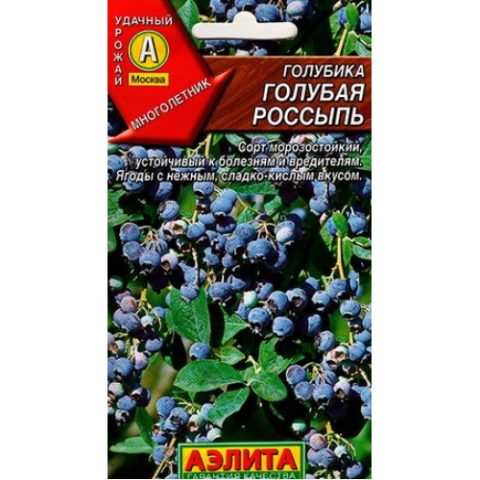 Blueberries in Siberia: planting and care in spring, growing features