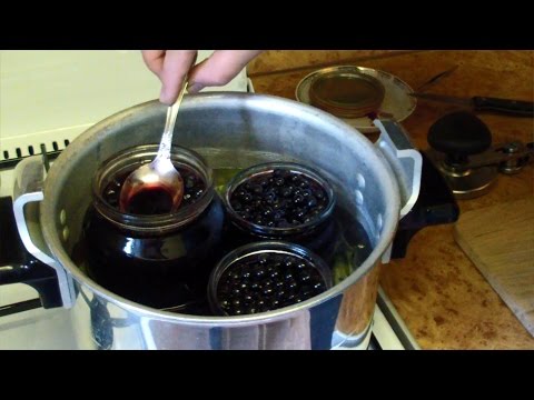 Blueberries in their own juice for the winter