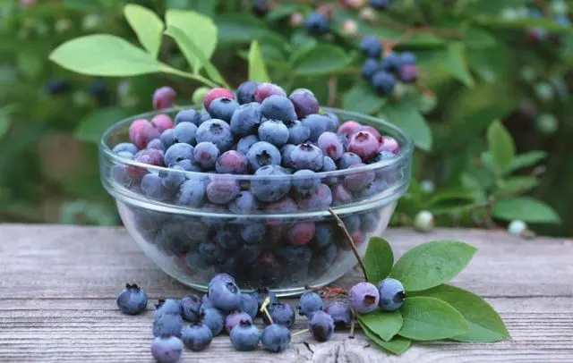 Blueberries in their own juice for the winter