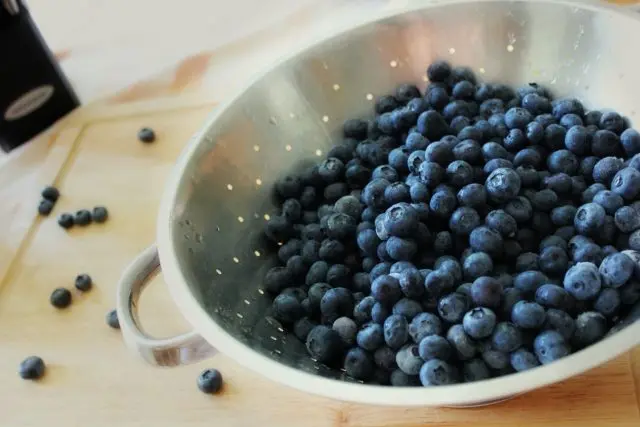 Blueberries in their own juice for the winter