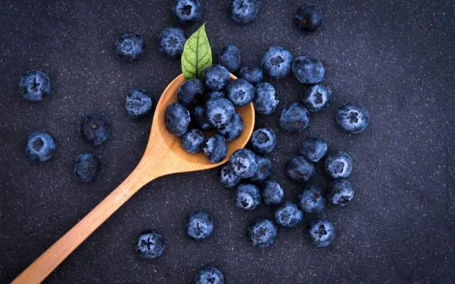 Blueberries in their own juice for the winter