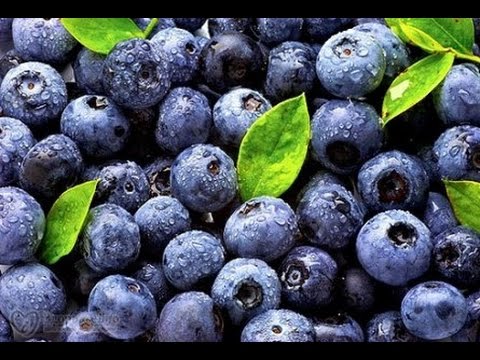 Blueberries mashed for the winter with sugar