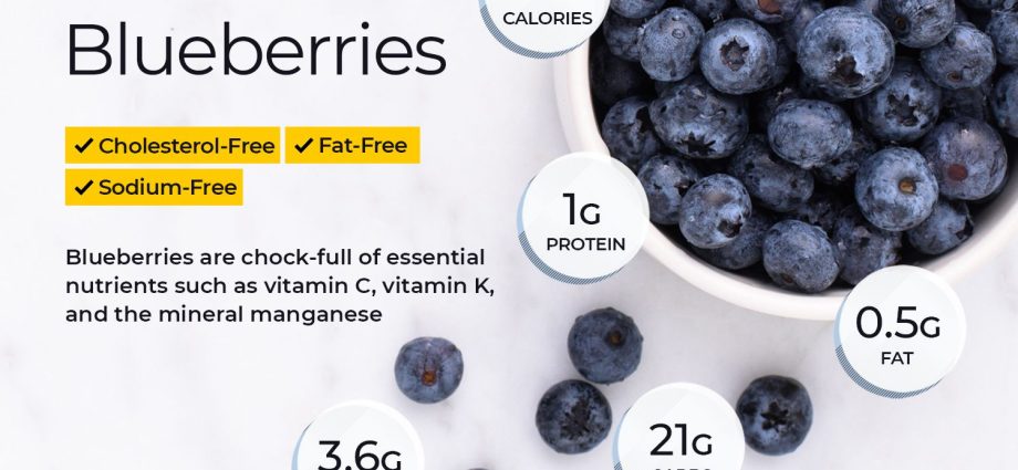 Blueberries &#8211; properties, nutrients, effect on health