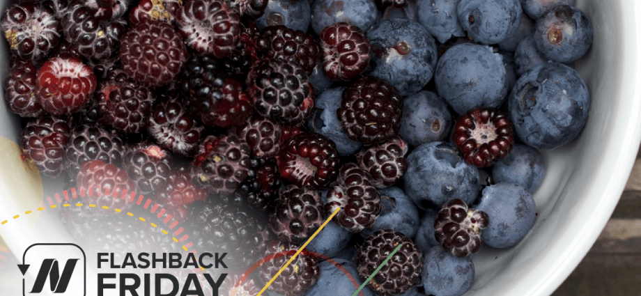 Blueberries slow the aging of the brain