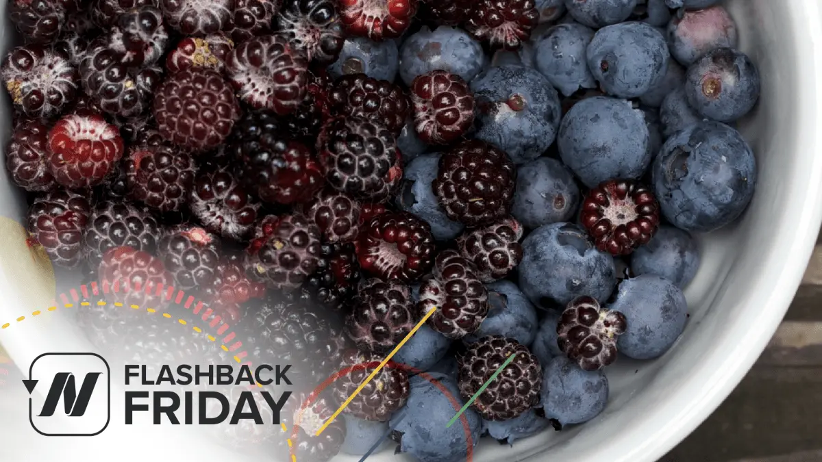 Blueberries slow the aging of the brain