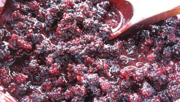 blueberry jam recipes