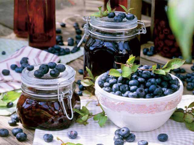 blueberry jam recipes