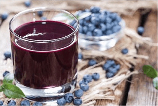 Blueberry leaf: useful properties and contraindications