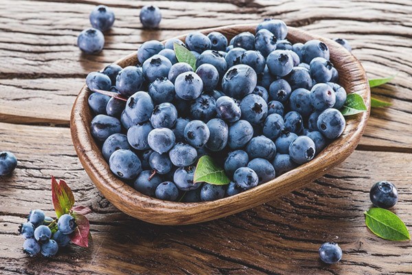 Blueberry leaf: useful properties and contraindications