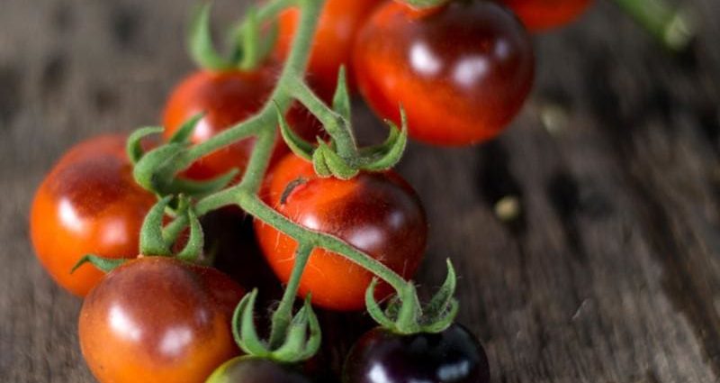 Blueberry tomato: characteristics and description of the variety