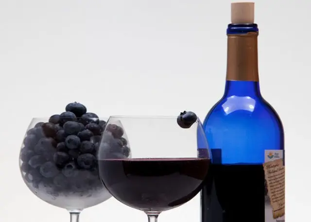 Blueberry wine: simple recipes