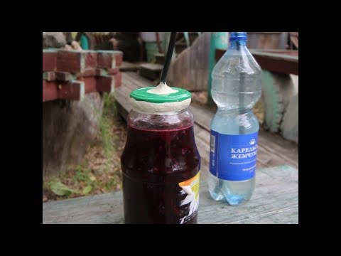 Blueberry wine: simple recipes