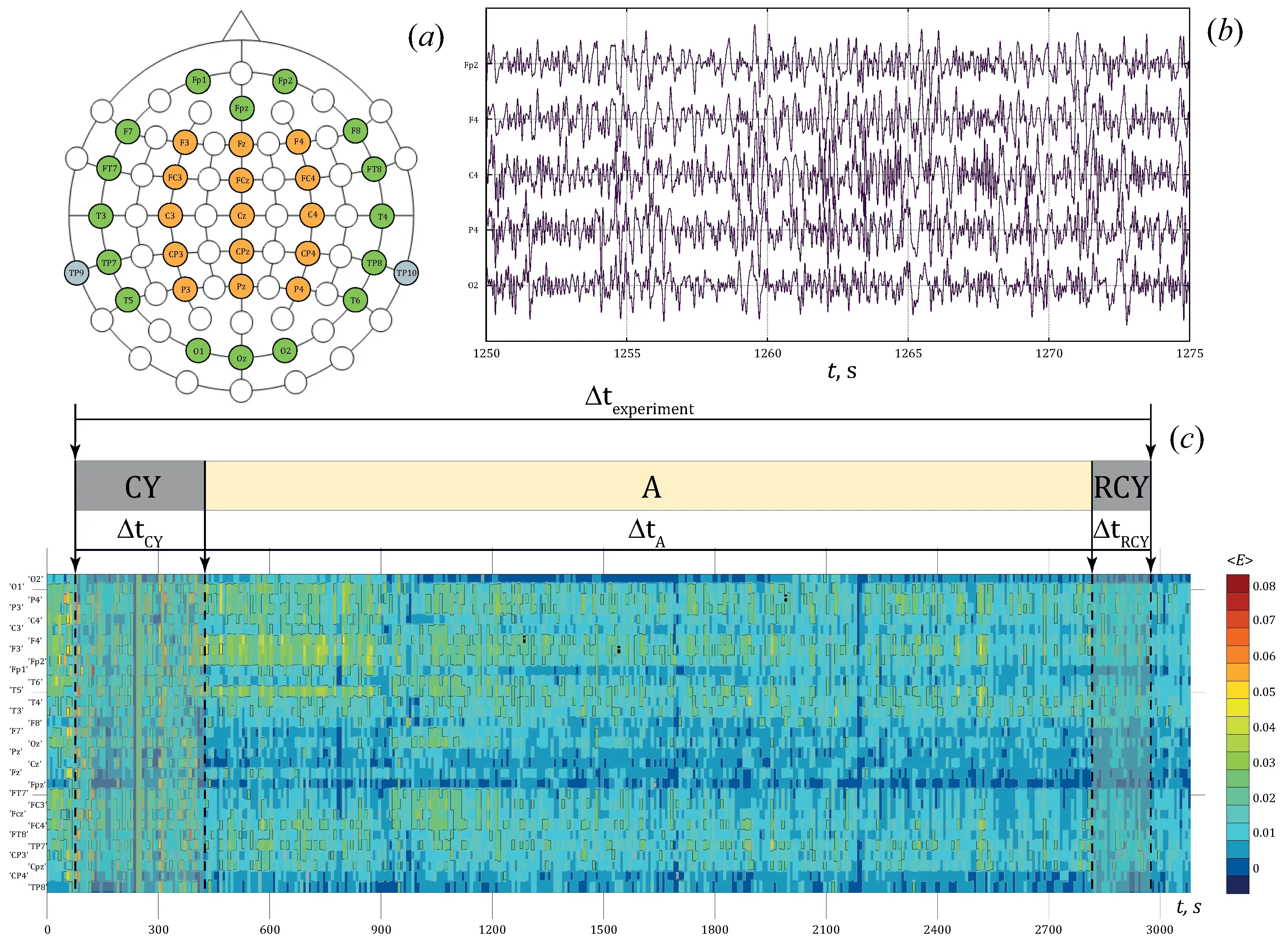 BMI, OB, HPV, EEG &#8211; what do these abbreviations mean?