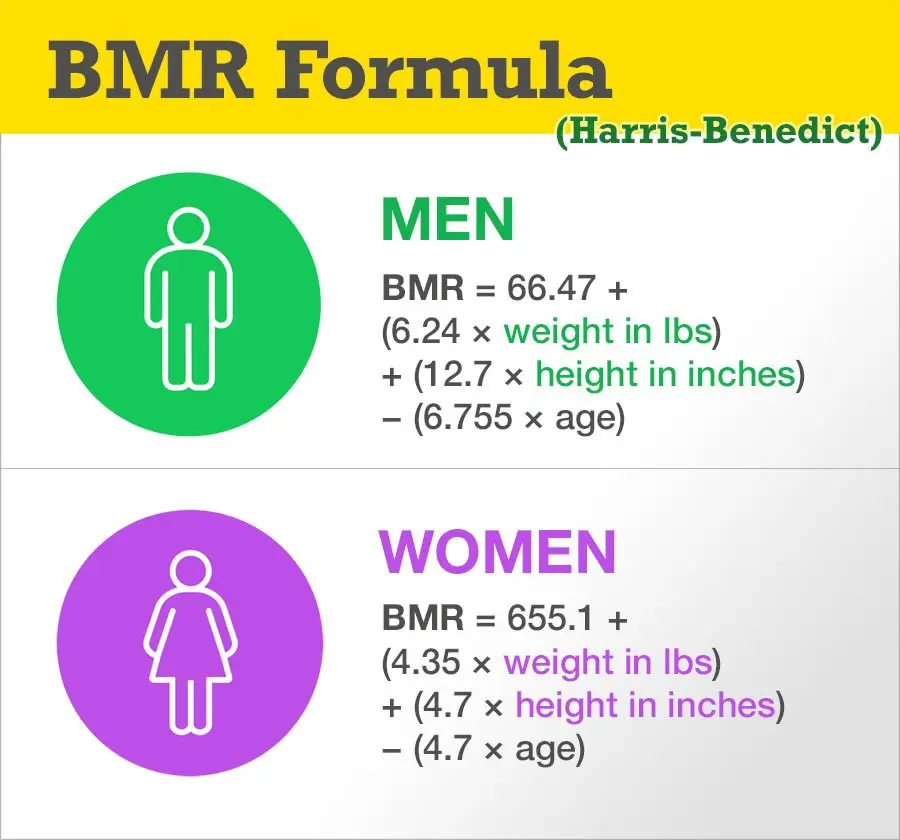 BMR calculator. Calculate your caloric needs