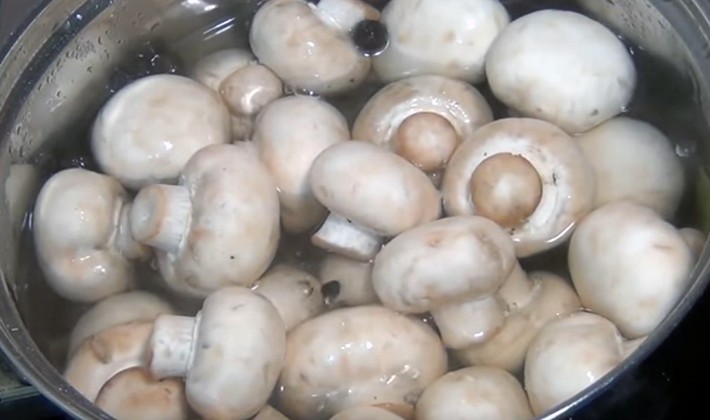 Boiled champignons: recipes for mushroom dishes