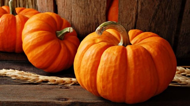 Boiled pumpkin: benefits and harms to the human body