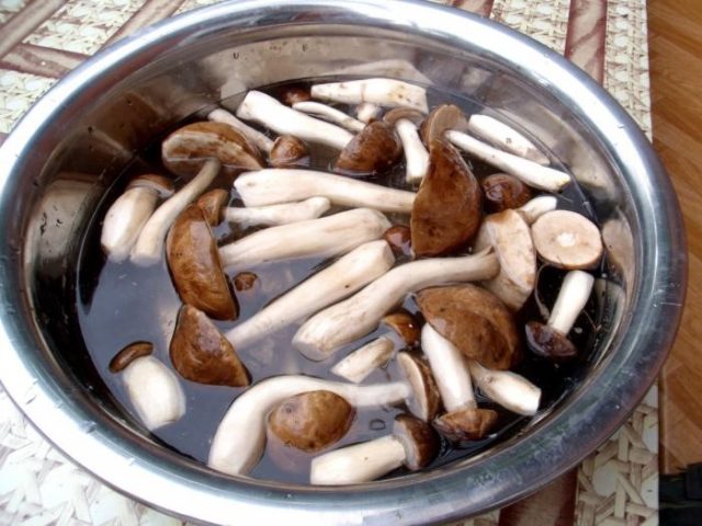 Boletus and boletus: how to clean, wash and soak