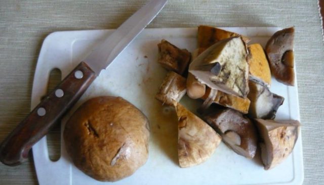 Boletus and boletus: how to clean, wash and soak