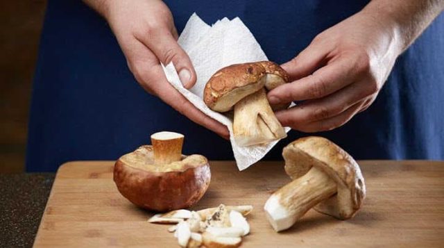 Boletus for the winter: how to cook, simple recipes