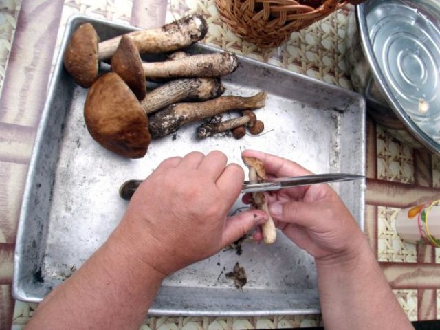 Boletus for the winter: how to cook, simple recipes