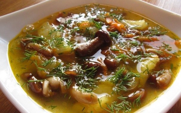 Boletus mushroom soup: recipes with photos