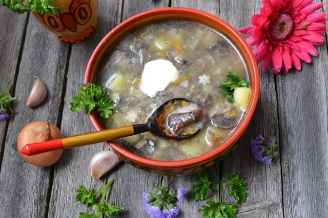 Boletus mushroom soup: recipes with photos