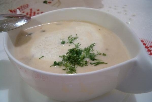 Boletus mushroom soup: recipes with photos