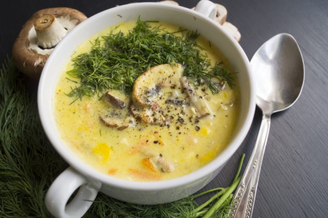 Boletus mushroom soup: recipes with photos