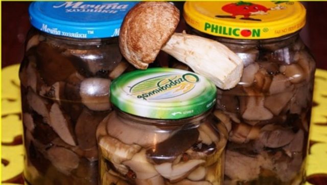 Boletus mushrooms for the winter: how to prepare in jars