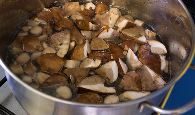 Boletus mushrooms for the winter: how to prepare in jars