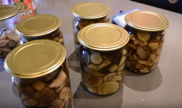 Boletus mushrooms for the winter: how to prepare in jars