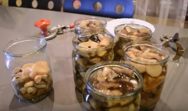 Boletus mushrooms for the winter: how to prepare in jars