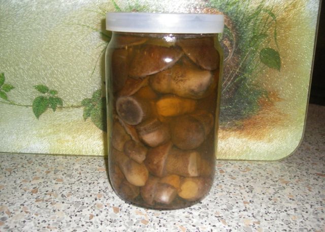 Boletus mushrooms for the winter: how to prepare in jars