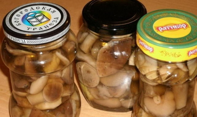 Boletus mushrooms for the winter: how to prepare in jars