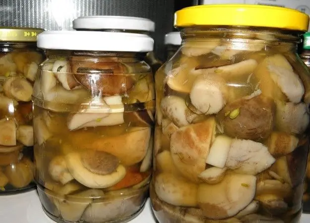 Boletus mushrooms for the winter: how to prepare in jars