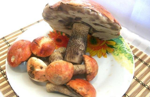 Boletus pickling: in jars, in a saucepan, the best recipes