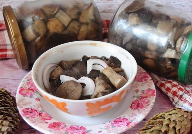 Boletus pickling: in jars, in a saucepan, the best recipes