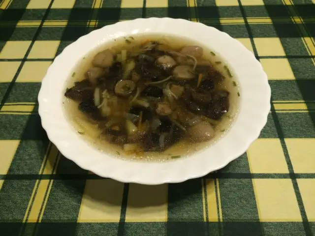 Boletus soup: recipes from fresh, frozen and dried mushrooms