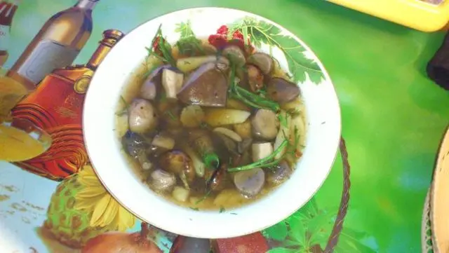 Boletus soup: recipes from fresh, frozen and dried mushrooms