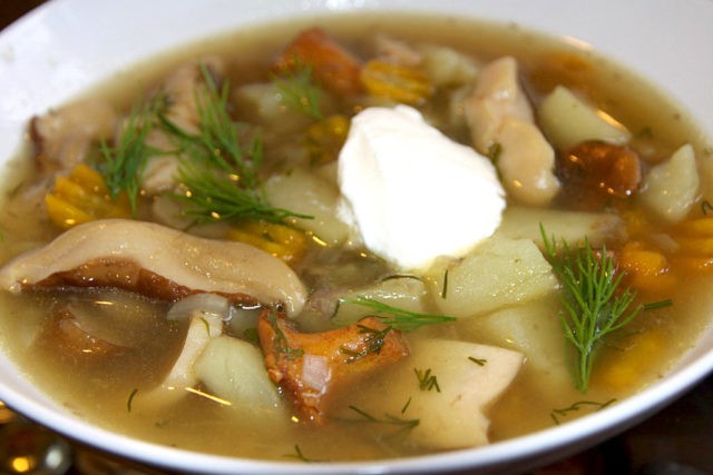 Boletus soup: recipes from fresh, frozen and dried mushrooms