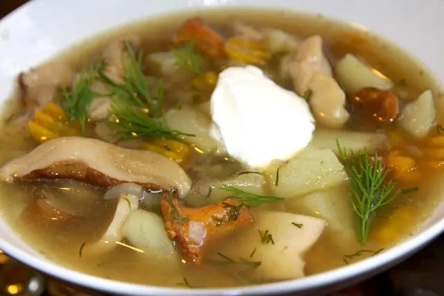 Boletus soup: recipes from fresh, frozen and dried mushrooms