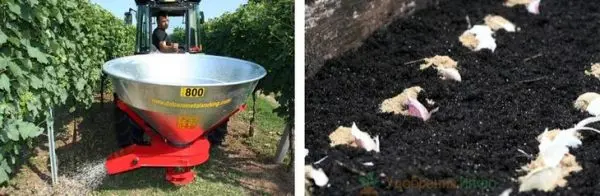 Bone meal as a fertilizer: how to apply in the garden