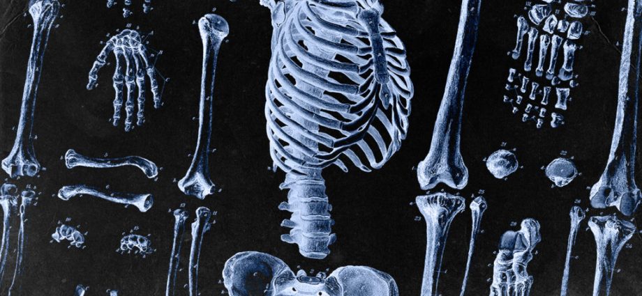 Bones get sick too. What diseases is our skeleton exposed to?